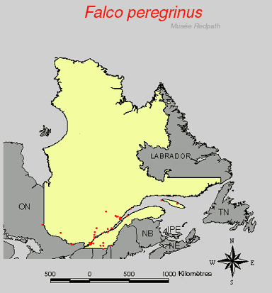 carte.gif