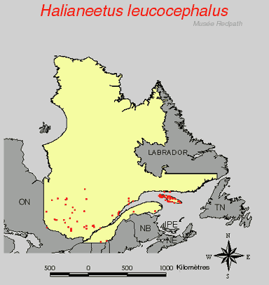 carte.gif