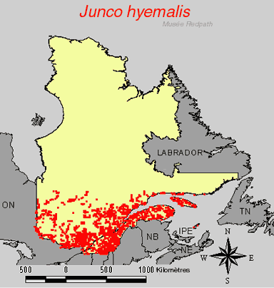 carte.gif