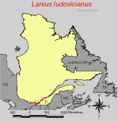 carte.gif