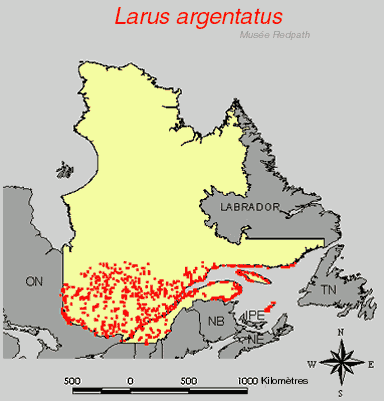 carte.gif