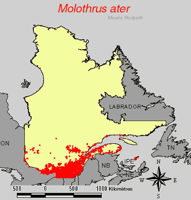carte.gif