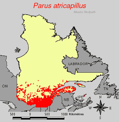 carte.gif