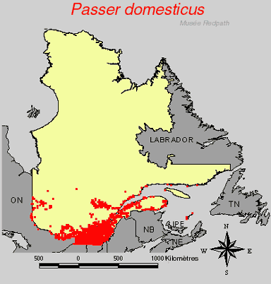 carte.gif