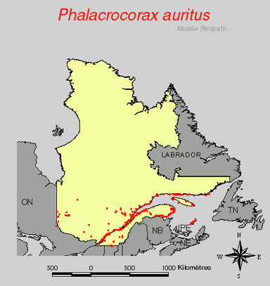 carte.gif