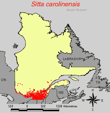 carte.gif