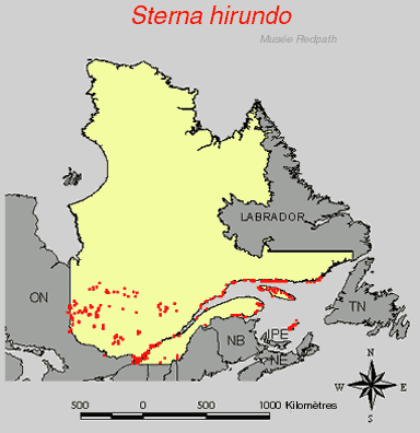 carte.gif