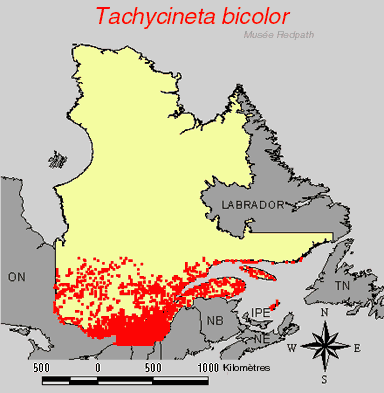 carte.gif