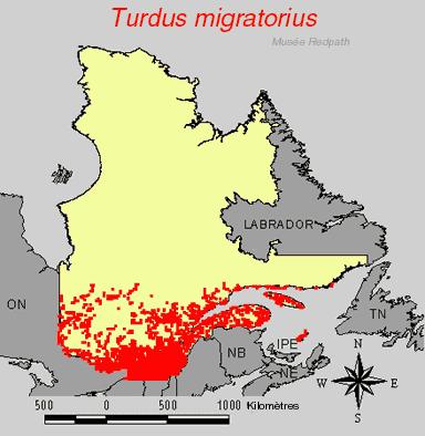 carte.gif