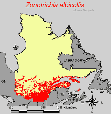 carte.gif