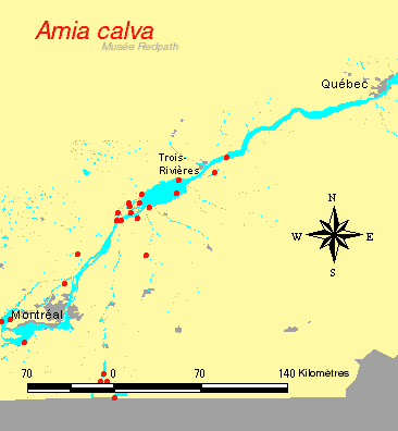 carte.gif
