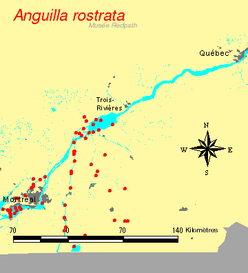 carte.gif