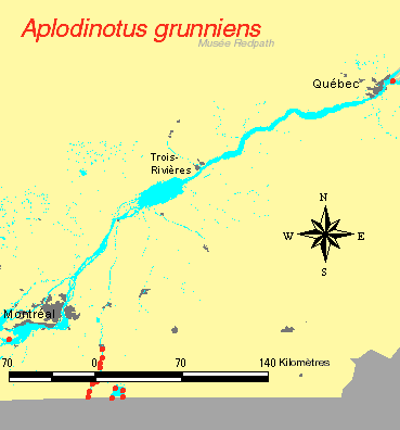 carte.gif