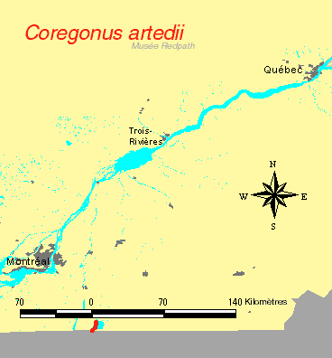 carte.gif