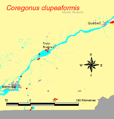 carte.gif