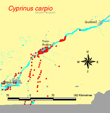 carte.gif