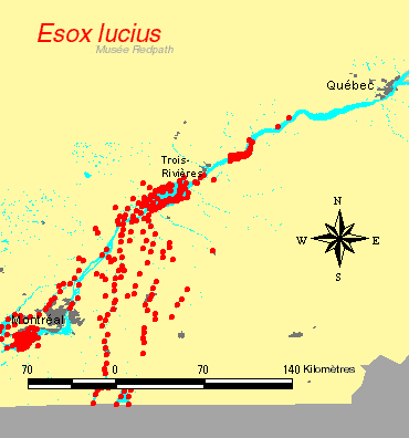 carte.gif