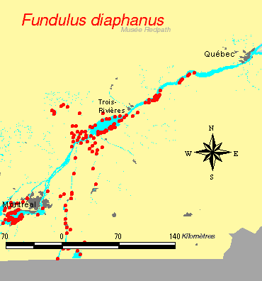 carte.gif