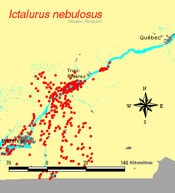 carte.gif