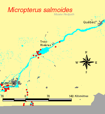 carte.gif