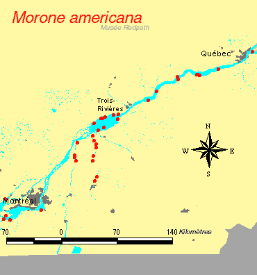 carte.gif