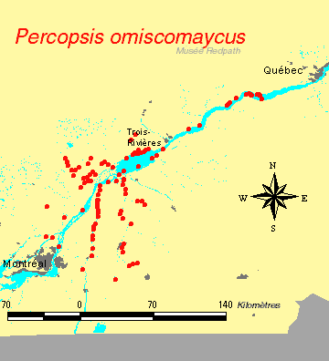carte.gif