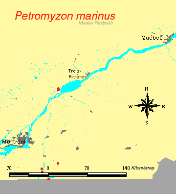 carte.gif
