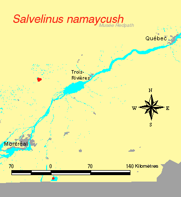 carte.gif